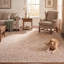 Tapis lavable en polyester gris à motif floral traditionnel Onyx-1620890849