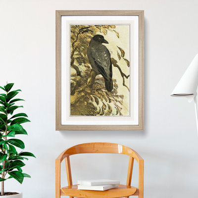 Hooded Crow by Theo Van Hoytema - Picture Frame Painting