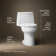 Santa Rosa Comfort Height One-Piece Compact Elongated 1.28 Gpf Toilet With Revolution 360 Swirl Flushing Technology And Continuousclean St