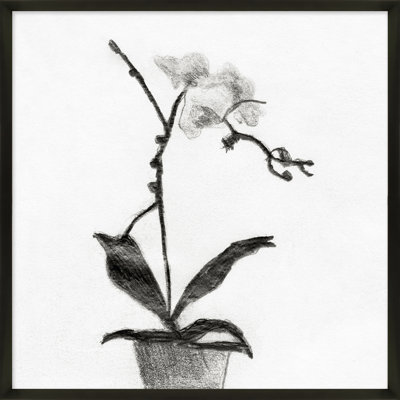 Orchid Study 1 Print by Simon Schneiderman