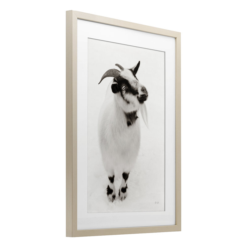 «White Little Goat», reproduction sous verre encadrée par Deborah Revell, H 23 po x l 17 po, Cadre de récolte en pin