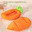 Lit amovible et lavable pour chat et chien en forme de bateau de carotte-816566208