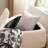 2 - Piece Upholstered Storage Ottoman Set-655912550