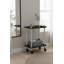 Zeigler Serving Cart-304287186-304287189