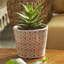 Ensemble de 4 pots à fleurs en terre cuite orange et blanc avec motifs géométriques, pots de plantes bohémiens, pour plantes grasses, herbes et verdure, 5 po x 5 po