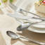60 Piece 18/10 Stainless Steel Flatware Set, Service For 12-122003318