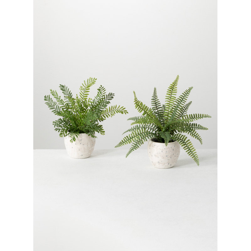 Ensemble 2 pièces de fougère artificielle en pot