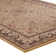 Izaiah Oriental Indoor Rug
