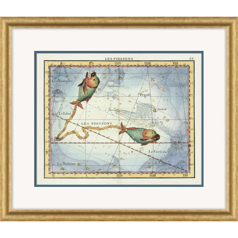 Pisces Giclee Print by David Phoenix