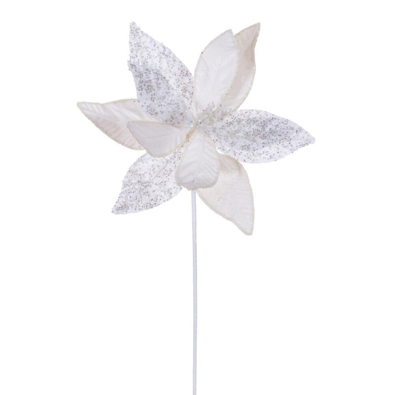Tiges de poinsettia, Blanc