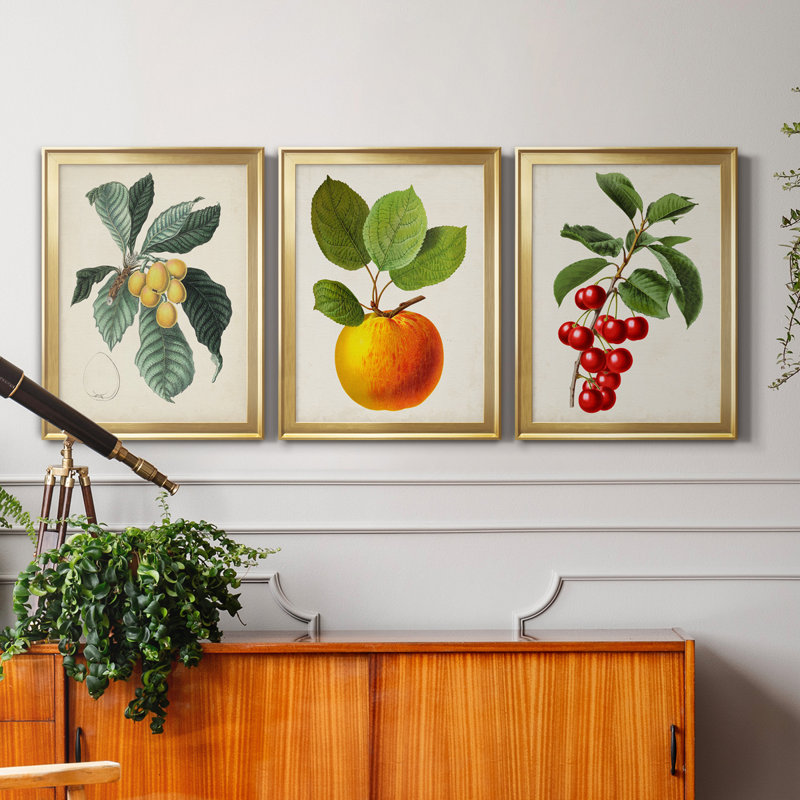 "Antique Foliage & Fruit VI", ensemble de 3 impressions sur toile encadrées, H 22,5 po x l 91,5 po x P 1,5 po, Doré