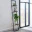 Anartz 180 cm H x 33 cm W Ladder Bookcase