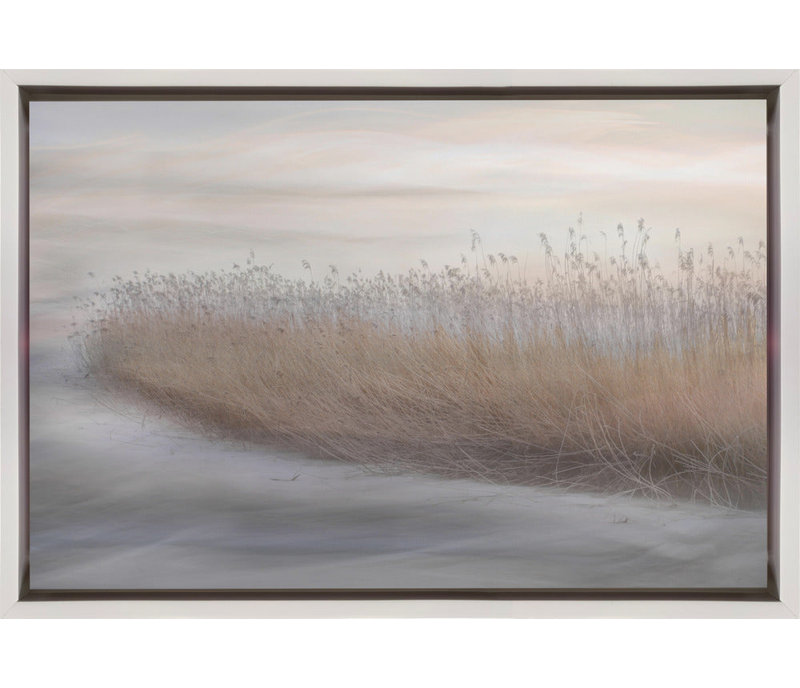 Roseau d'hiver, H 20 po x l 24 po, Noir