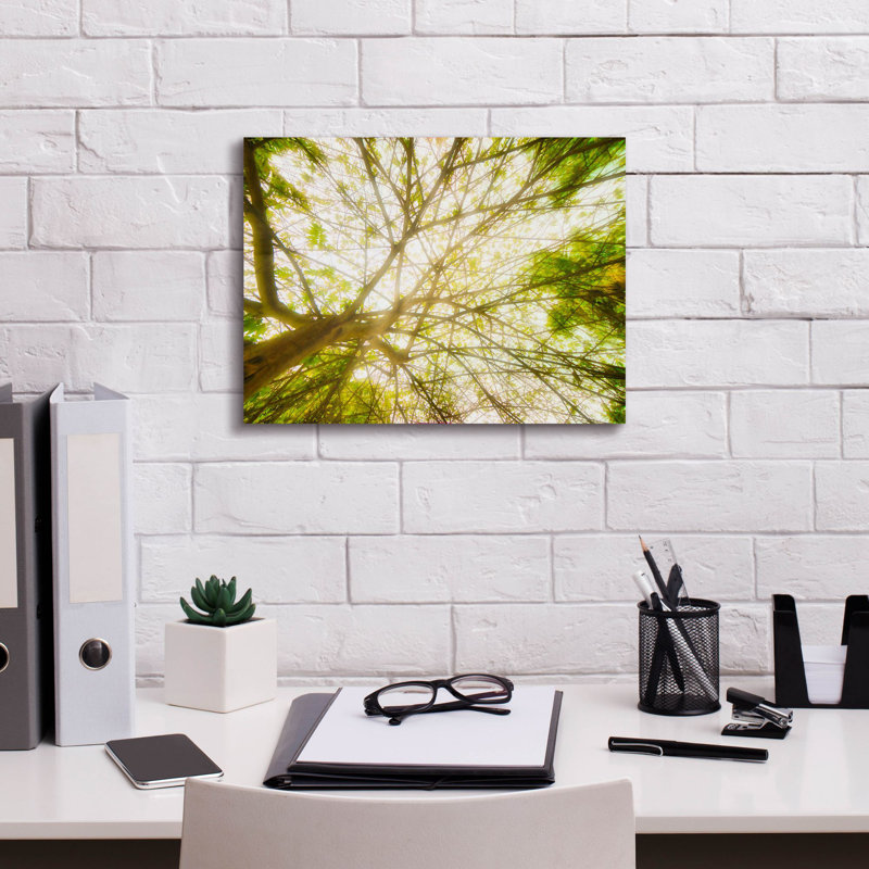 «Tropical Dream on Canvas» par Mark A Paulda, reproduction, H 12 po x l 16 po x P 0,75 po