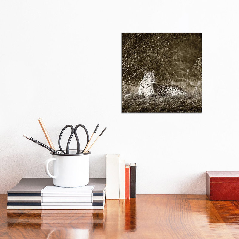 Vigilant Leopard by Klaus Tiedge - Wrapped Canvas Print, 30.48 cm H x 30.48 cm W
