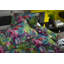 Cotton Floral Duvet Cover Set with Pillowcases-70060690