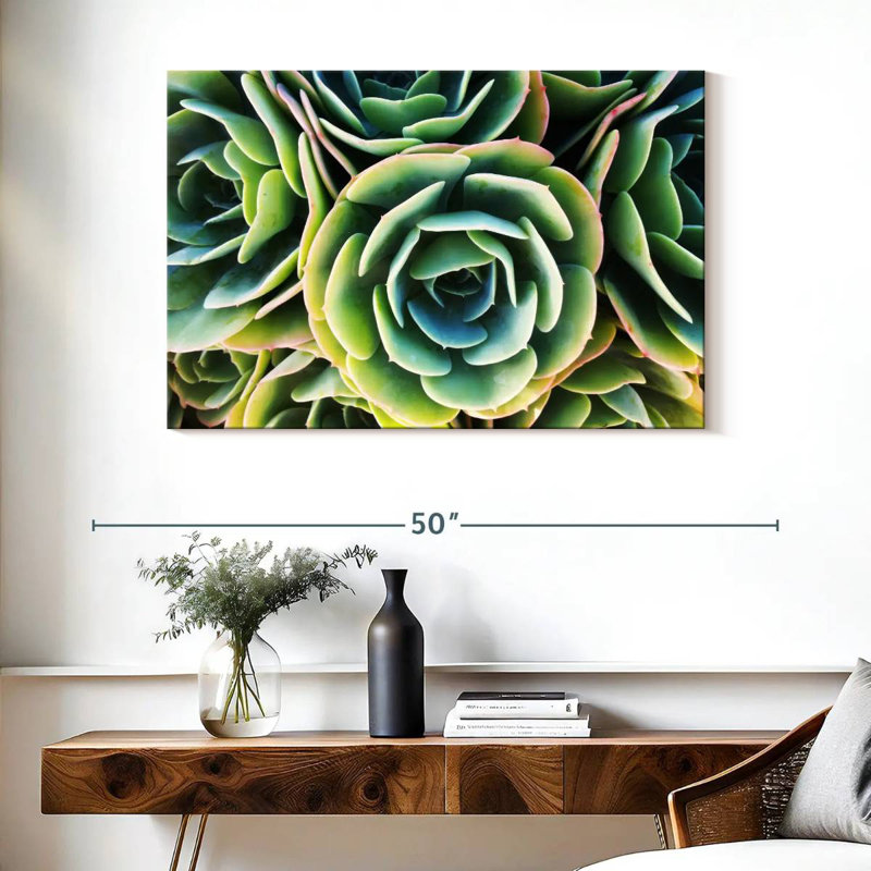 Rose succulente Harnek, H 26 po x l 39 po