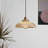 Allensville 1 - Light Brass Pendant-548705704