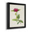 «Pretty Pink Botanicals II», toile encadrée de qualité supérieure - prête à être accrochée-84229767-84229766
