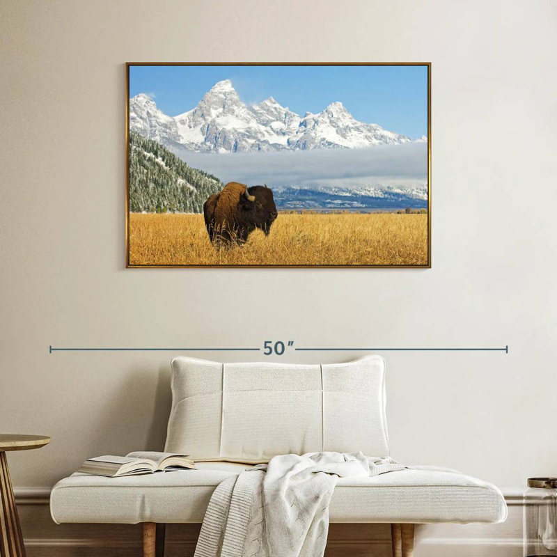 Grand Teton Bison Bull, Cadre flottant doré, 40 po x 27 po