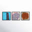 Tangle. Set Of 3 Print by Stephanie Dennis-2085882968-2085882971