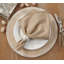 Ivara Whip Stitched Design 20" Cotton Napkin-1763014734