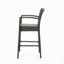 Tabourets de bar d'extérieur en rotin PE avec structure en fer (ensemble de 2)