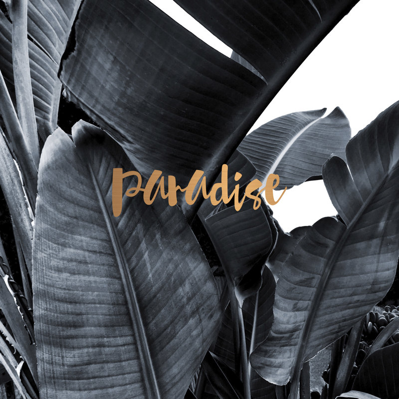 «Tropical Paradise Copper», impression sur toile tendue, H 12 po x l 12 po, Non, Toile tendue