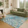 Machine Washable Indoor/Outdoor Norrell ACN2335 Paisley Rug