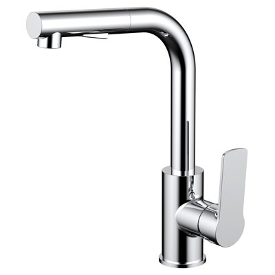 Daweier Pull Out Kitchen Faucet
