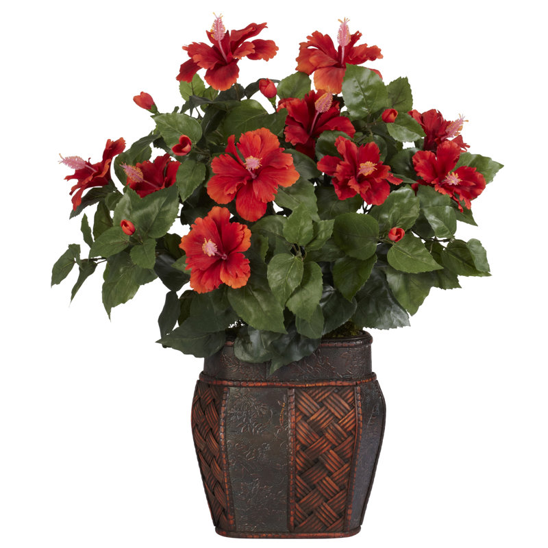 Arrangement floral d'hibiscus dans un vase