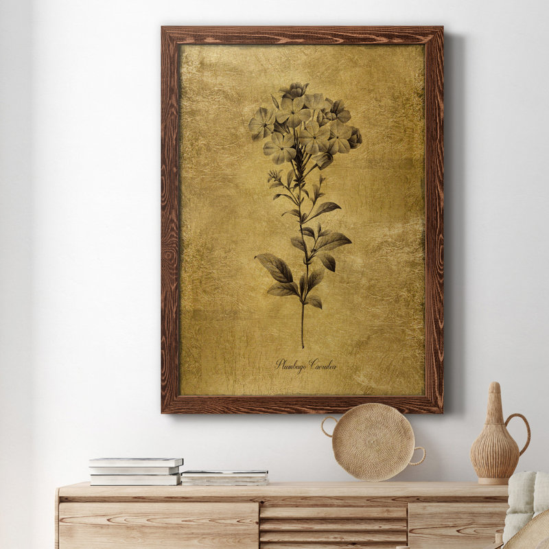 Toile encadrée dorée «Botanical II» de qualité supérieure - prête à être accrochée, H 20 po x l 17 po x P 1,5 po, Érable