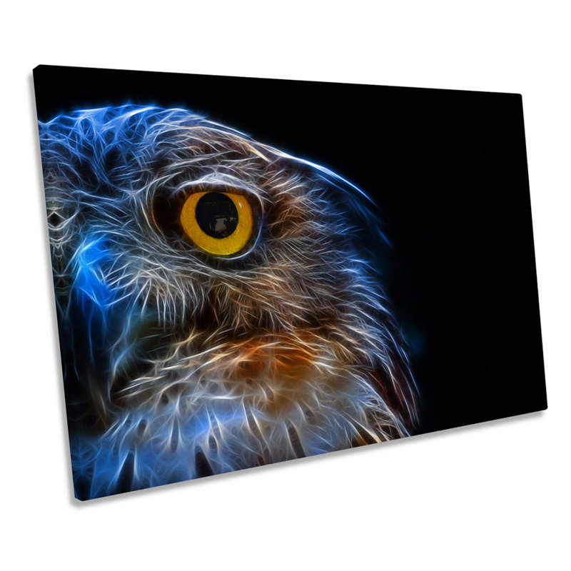 Owl Abstract - Wrapped Canvas Print, 61cm H x 91.4cm W x 4cm D