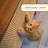 Wesley Wall Cat Scratcher, Walnut-117545766