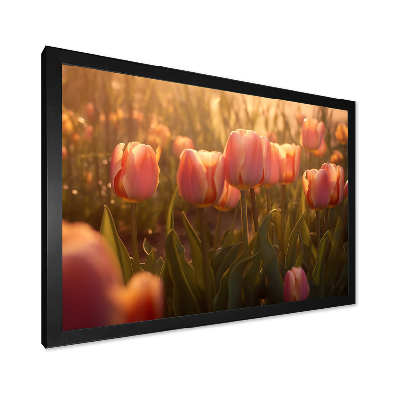 Champ de tulipes sur toile, Cadre simple noir, H 34 po x l 44 po x P 1,5 po