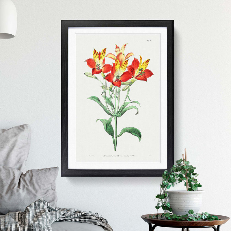 Red Peruvian Lily Flowers - Picture Frame Painting Print, 36cm H x 27cm W x 2cm D, Black Framed