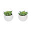 3'' Faux Succulent in Ceramic Pot