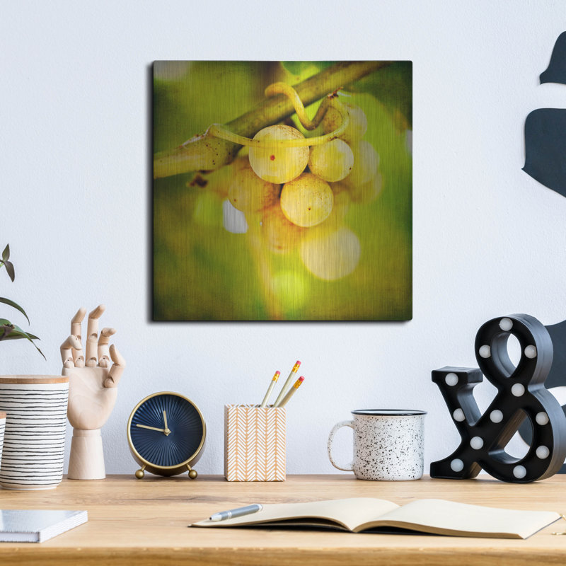 Winston Porter «Spring Fruit» par Jessica Rogers, art mural en métal, H 12 po x l 12 po