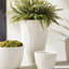 POT À DÉCORER FIBRECLAY AVALON