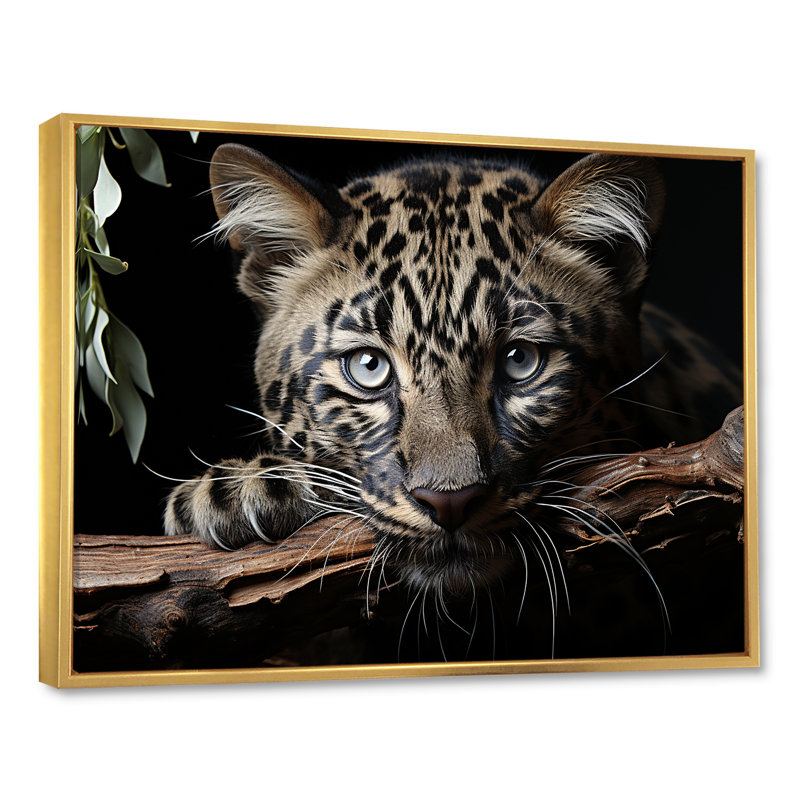 Léopards, élégance gracieuse sur toile, Cadre flottant doré, H 12 po x l 20 po x P 1 po