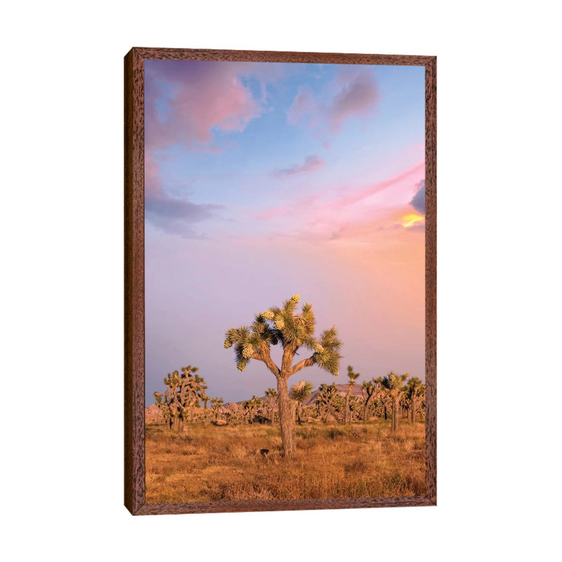 Lovely Sunset At Joshua Tree National Park by Melanie Viola - Print on Canvas, 101.6cm H x 66.04cm W x 3.81cm D