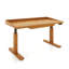 Odin Home Office Solid Wood Standing Desk-2029751618-2029751668-2029751671