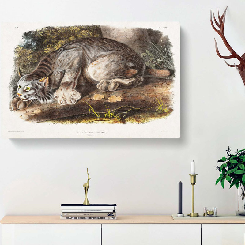 Canadian Lynx by J.W. Audubon - Wrapped Canvas, 35cm H x 50cm W x 3cm D