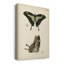 «Butterfly Profile II», impression sur toile tendue-824633265
