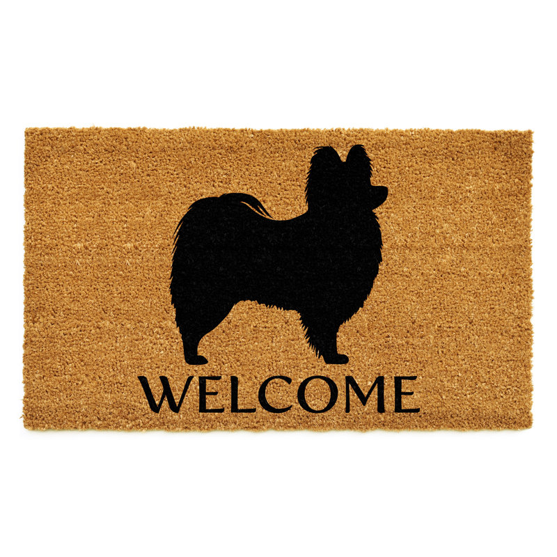 Tapis d'entrée antidérapant Papillon, l 17 po x L 29 po