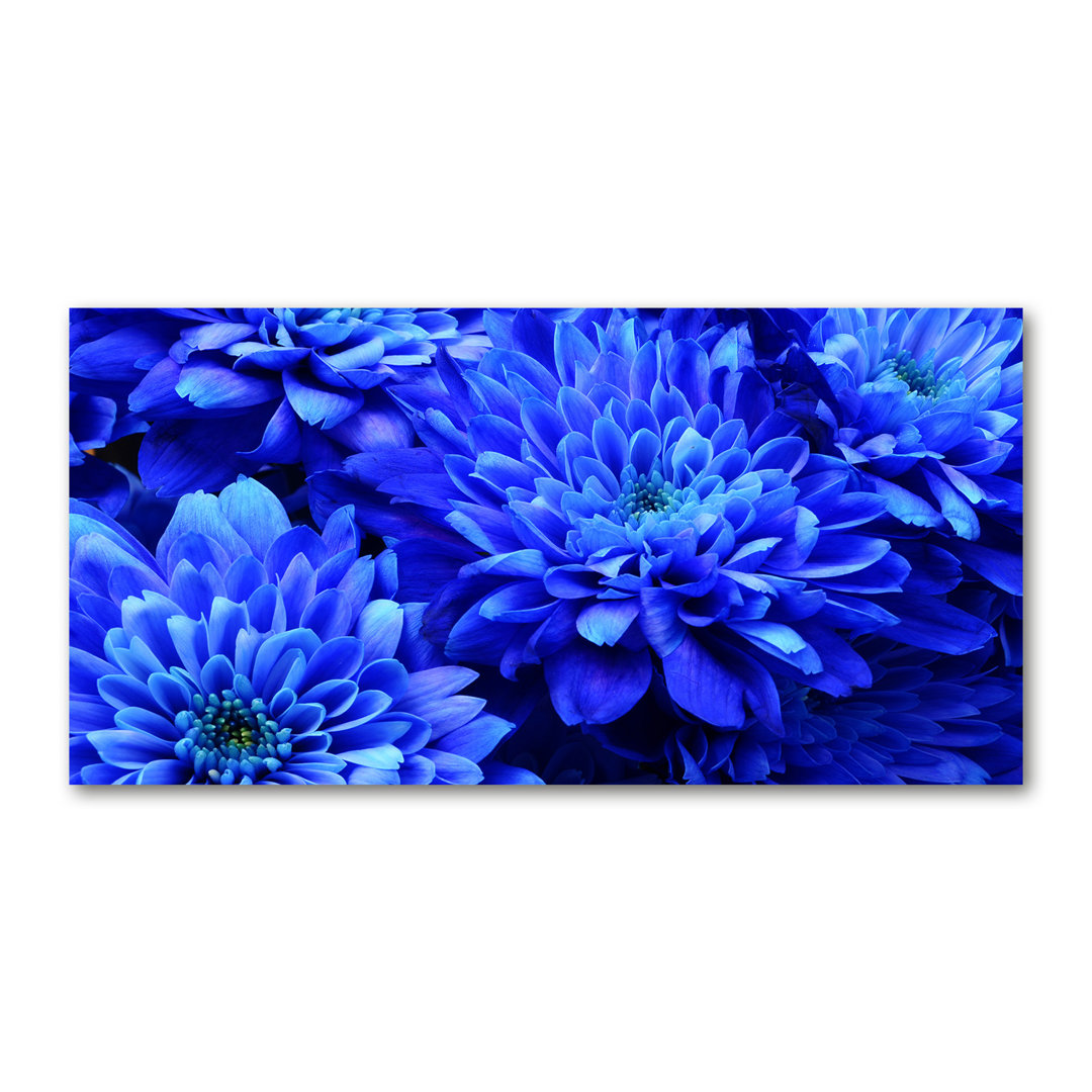 Blaue Aster - Kunstdrucke auf Segeltuch