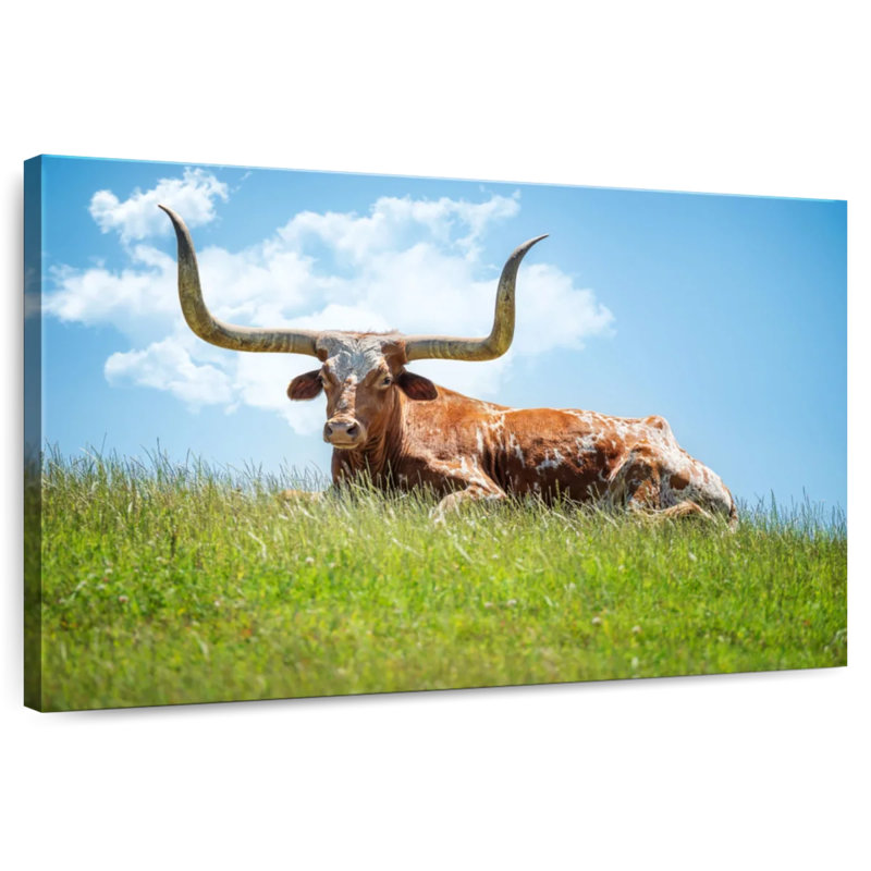 Bramhorn de Brampt sur l'herbe, Texas, H 34 po x l 51 po