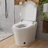 Smart Toilet Bidet Tankless, Auto Open/Close Lid, Elongated Dual Flush One-Piece Toilet-107545430