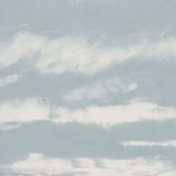 No Woebegone Day 2' Print on Canvas