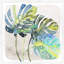 Upright Elephant Ears 1 Print